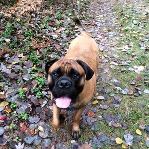 Meet your Posher, Douglas